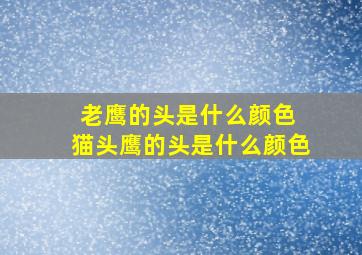 老鹰的头是什么颜色 猫头鹰的头是什么颜色